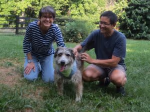 PETA's Dog Park photo 2